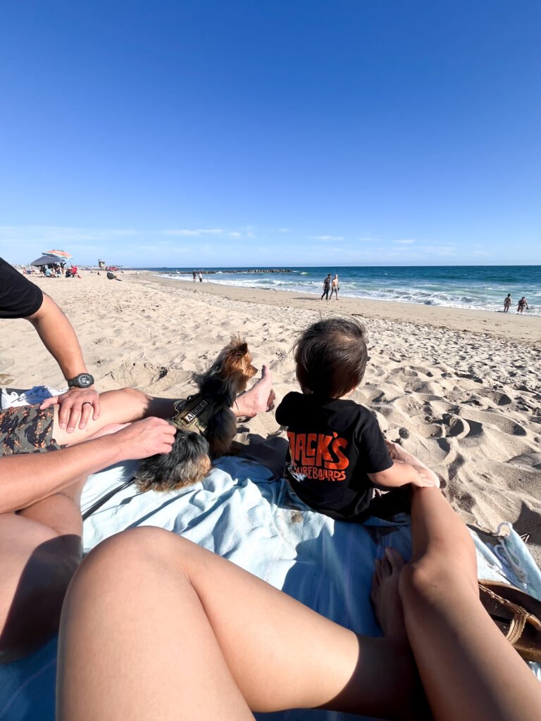 Best School Districts in Orange County With Affordable Family Homes